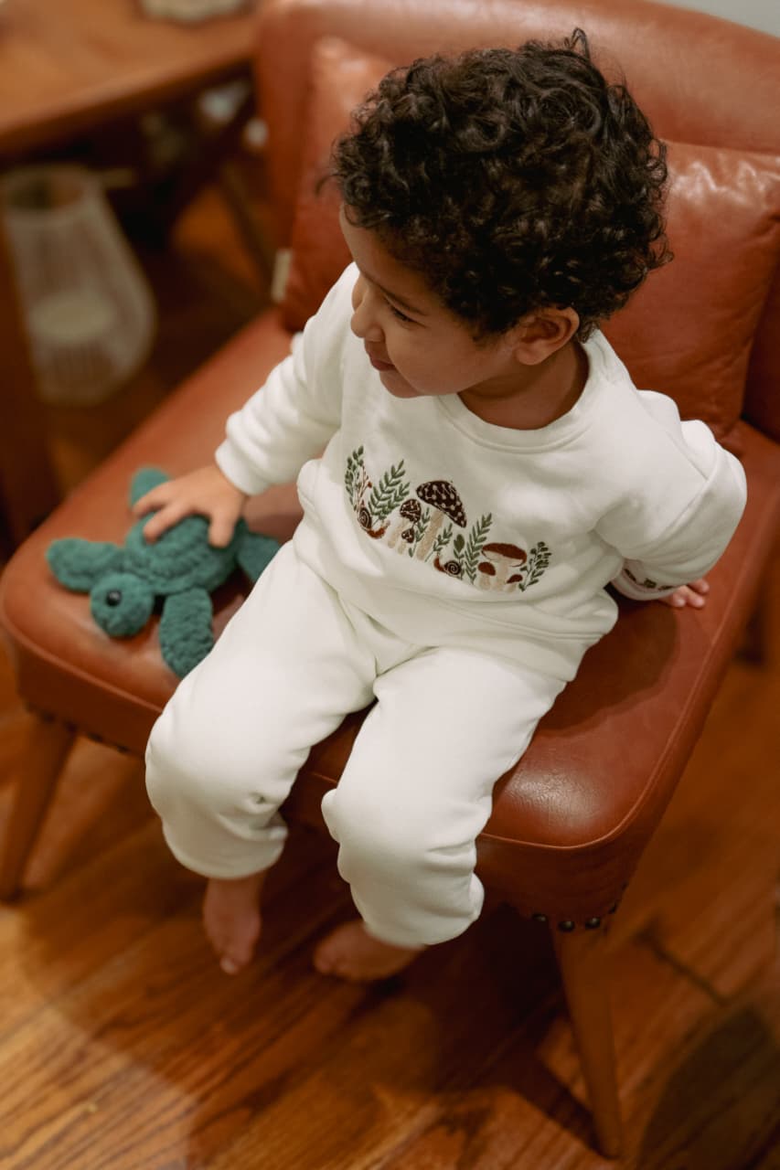 Earthly Mushrooms Set