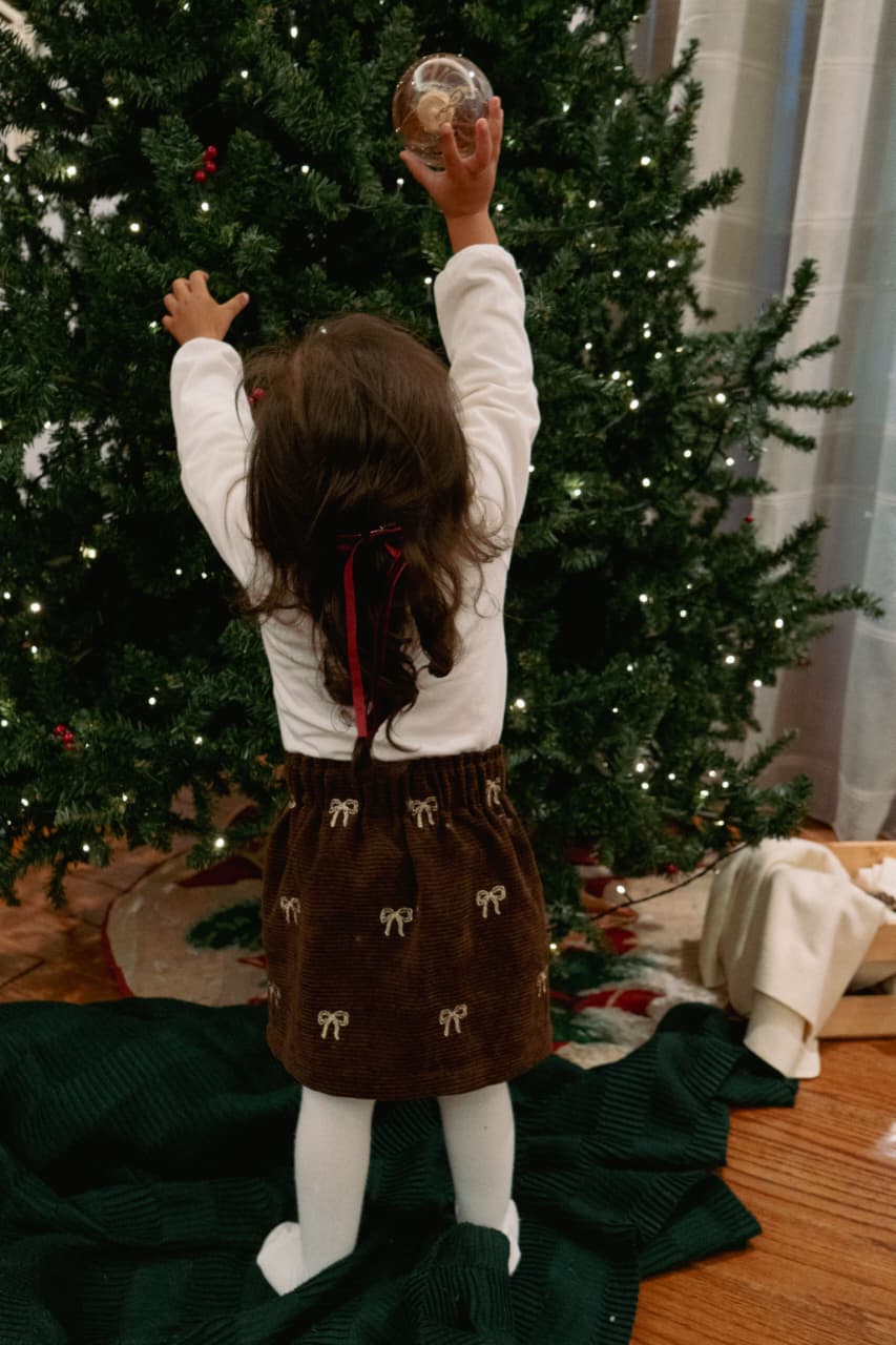 Velvet Charm Embroidery Skirt