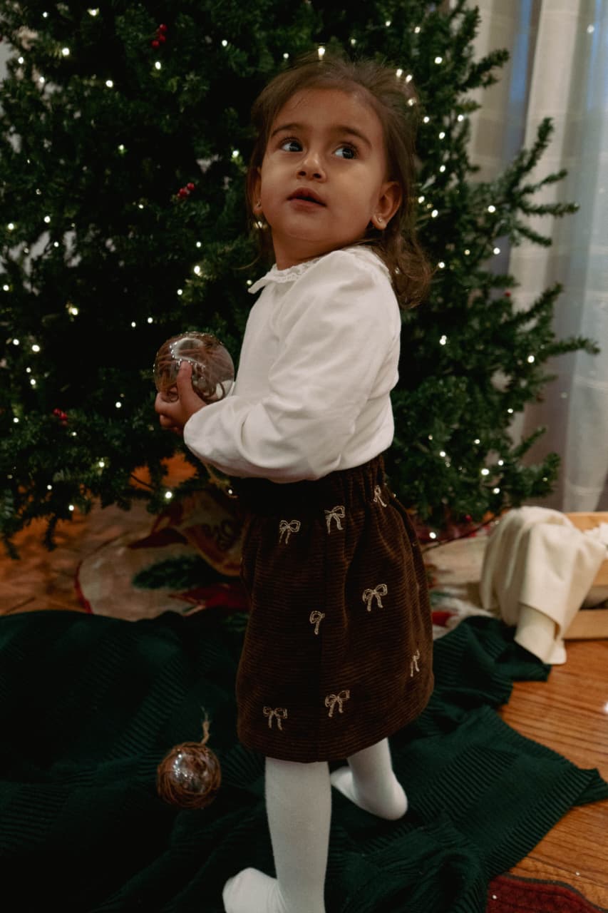 Velvet Charm Embroidery Skirt