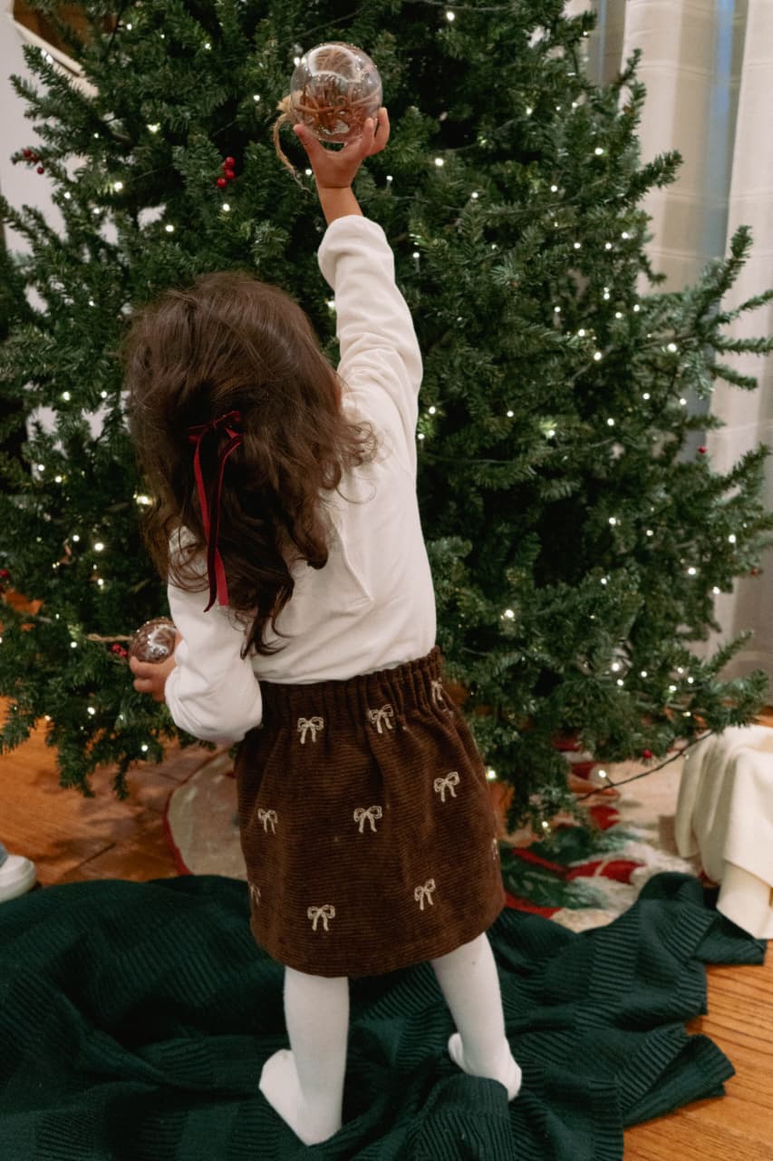 Velvet Charm Embroidery Skirt